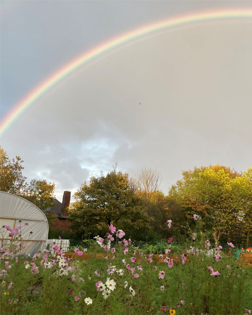 Chapel Street Community Garden