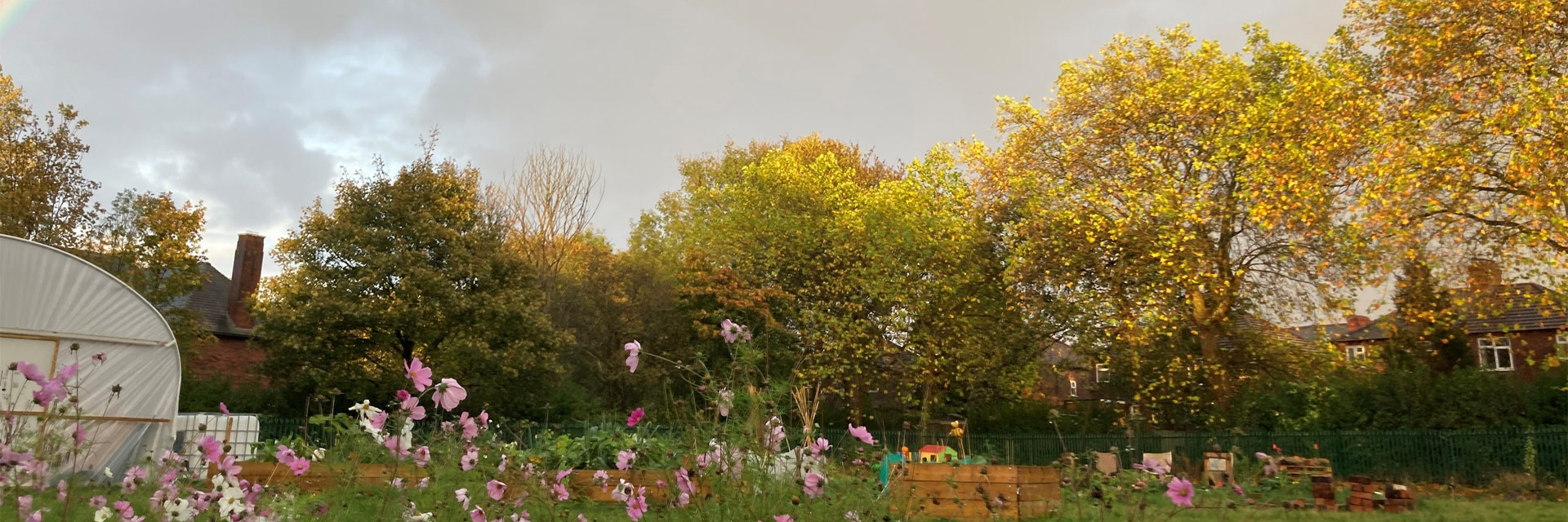 Chapel Street Community Garden