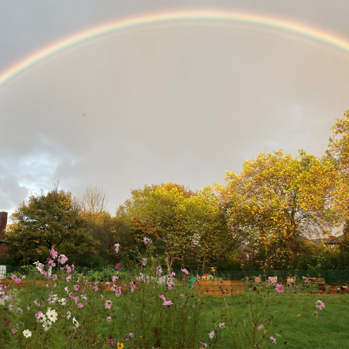 Chapel Street Community Garden