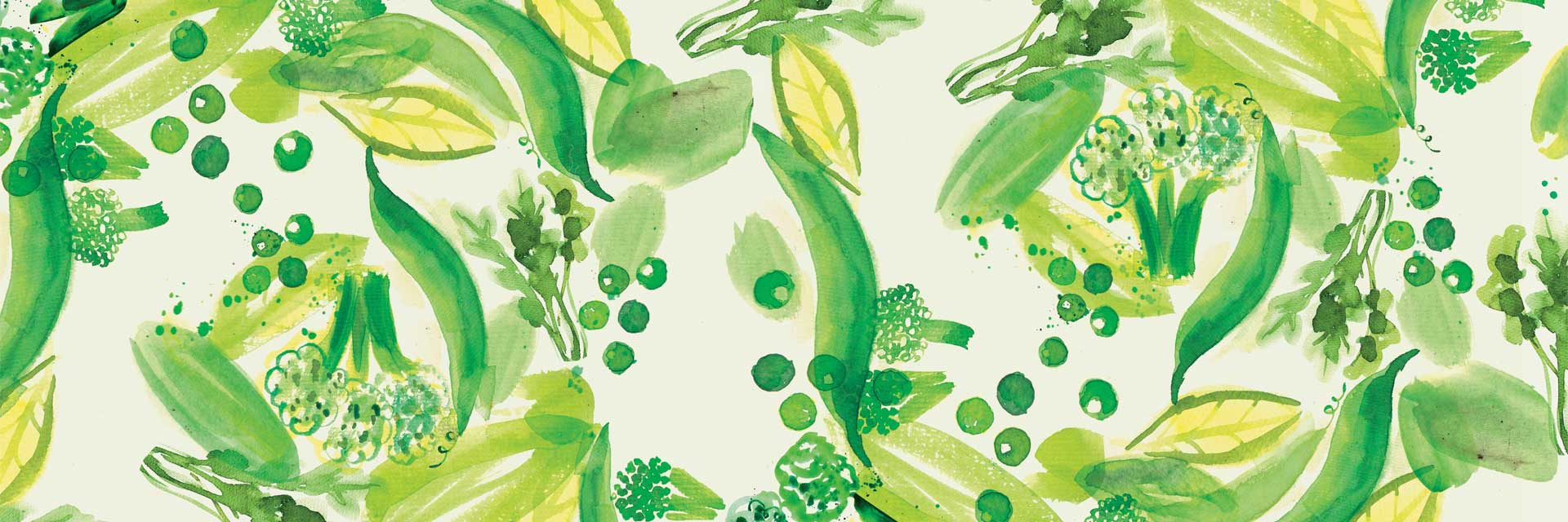 Vegetable illustration