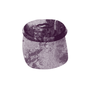 Cartoon Image of a Higgidy Pork Pie